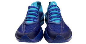 Furious Future 2.0 - Blue Line