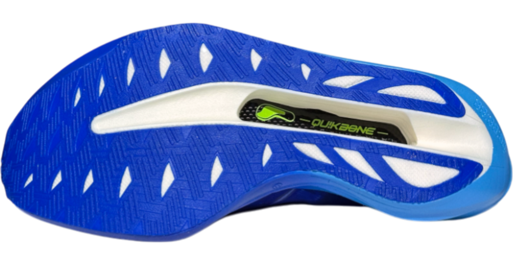 Furious Future 2.0 - Blue Line